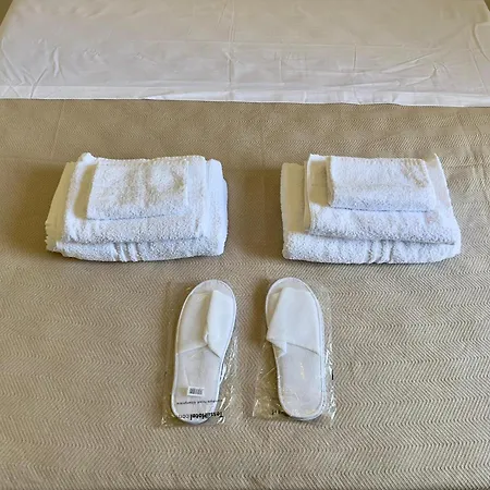 Urban Trilocale, Inalpi Arena - Centro - Lingotto - Stadio - Universita