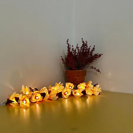 Appartement Urban Trilocale, Inalpi Arena - Centro - Lingotto - Stadio - Universita