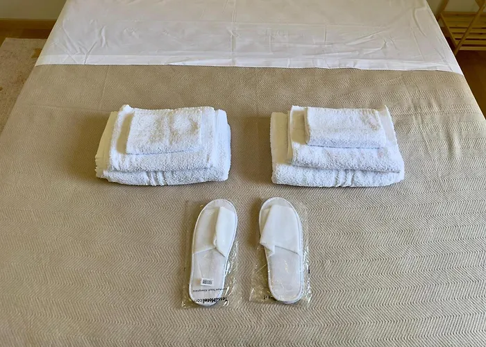 Urban Trilocale, Inalpi Arena - Centro - Lingotto - Stadio - Universita